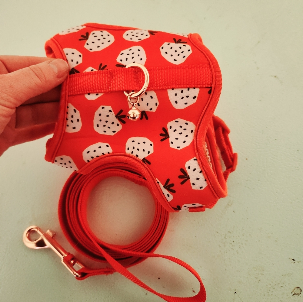Pink kitten harness with leash